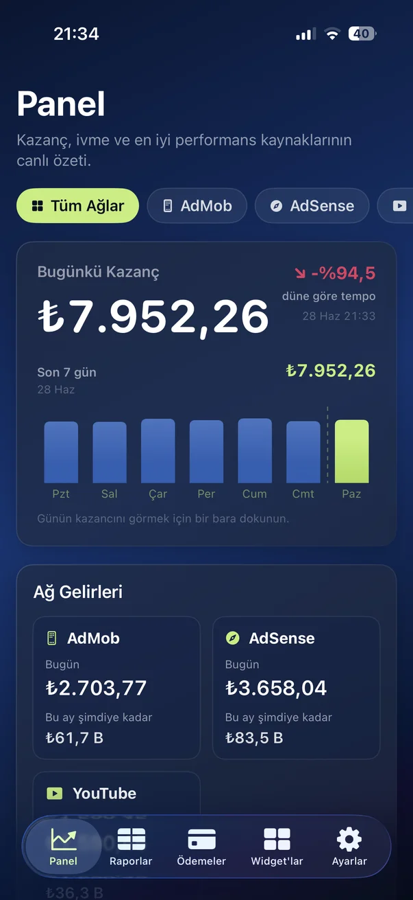 AdPulse gelir paneli