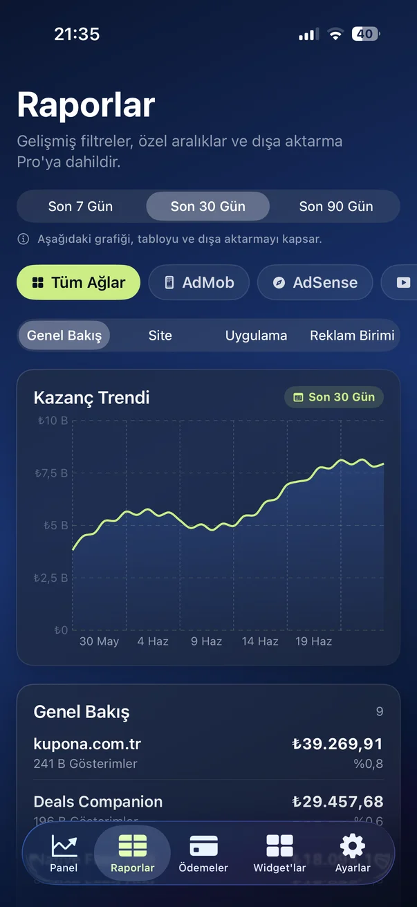 AdPulse rapor ekranı